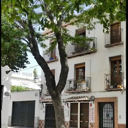 Apartamento Irene en Albaycin-3